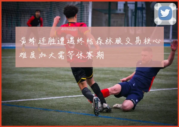 黄蜂连胜遭遇终结森林狼交易核心难度加大需等休赛期