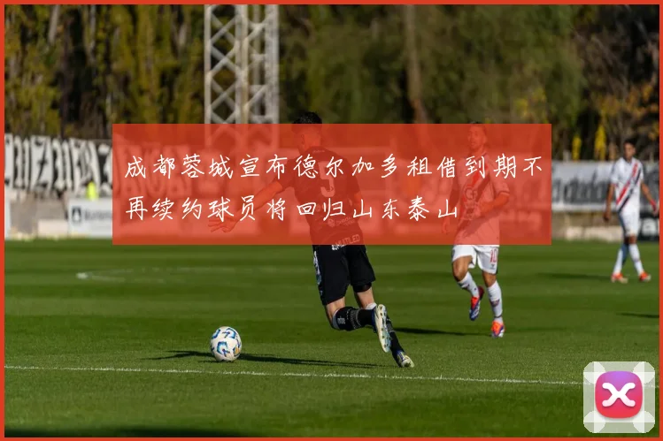 成都蓉城宣布德尔加多租借到期不再续约球员将回归山东泰山